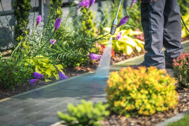Professional Pressure Washing Services in Schaumburg, IL